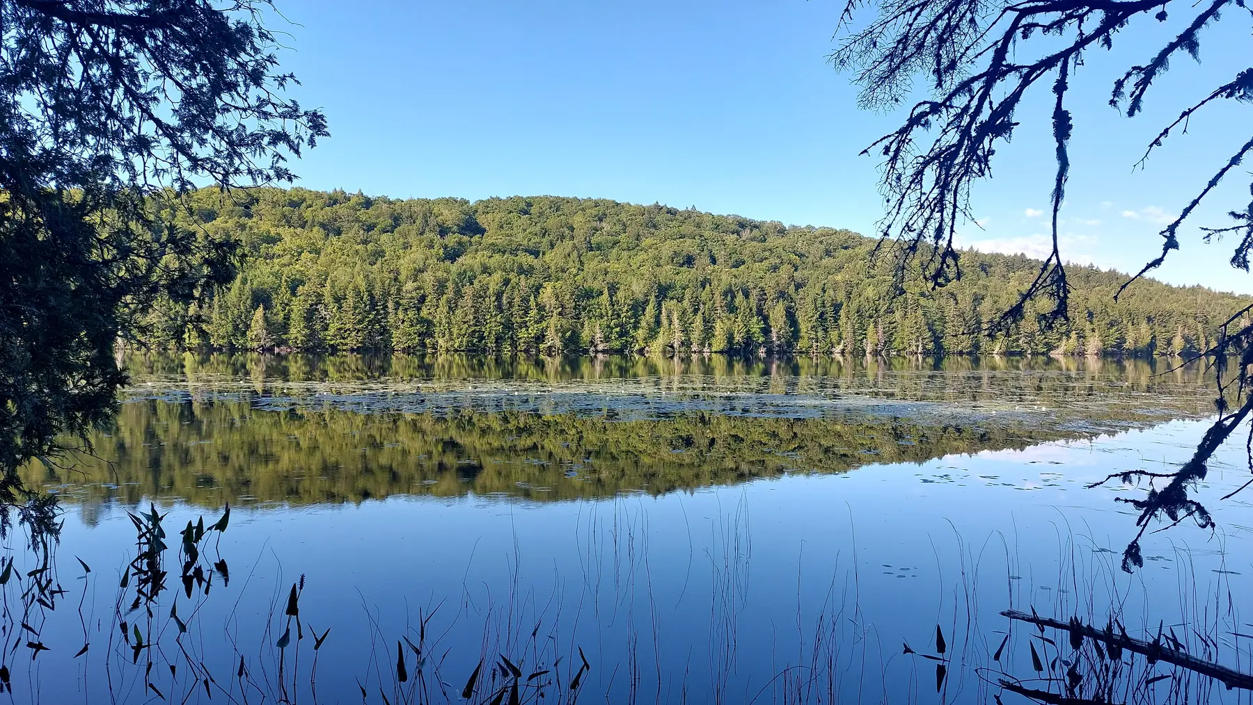 Indian Lake Leases