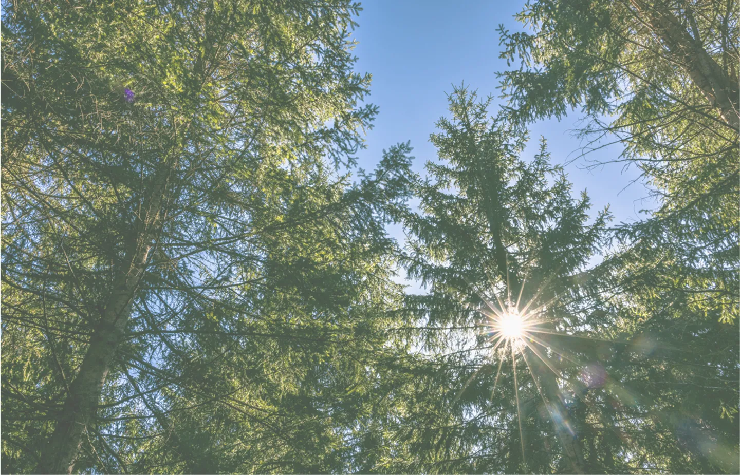 2024 Carbon Neutrality Report – Full Report