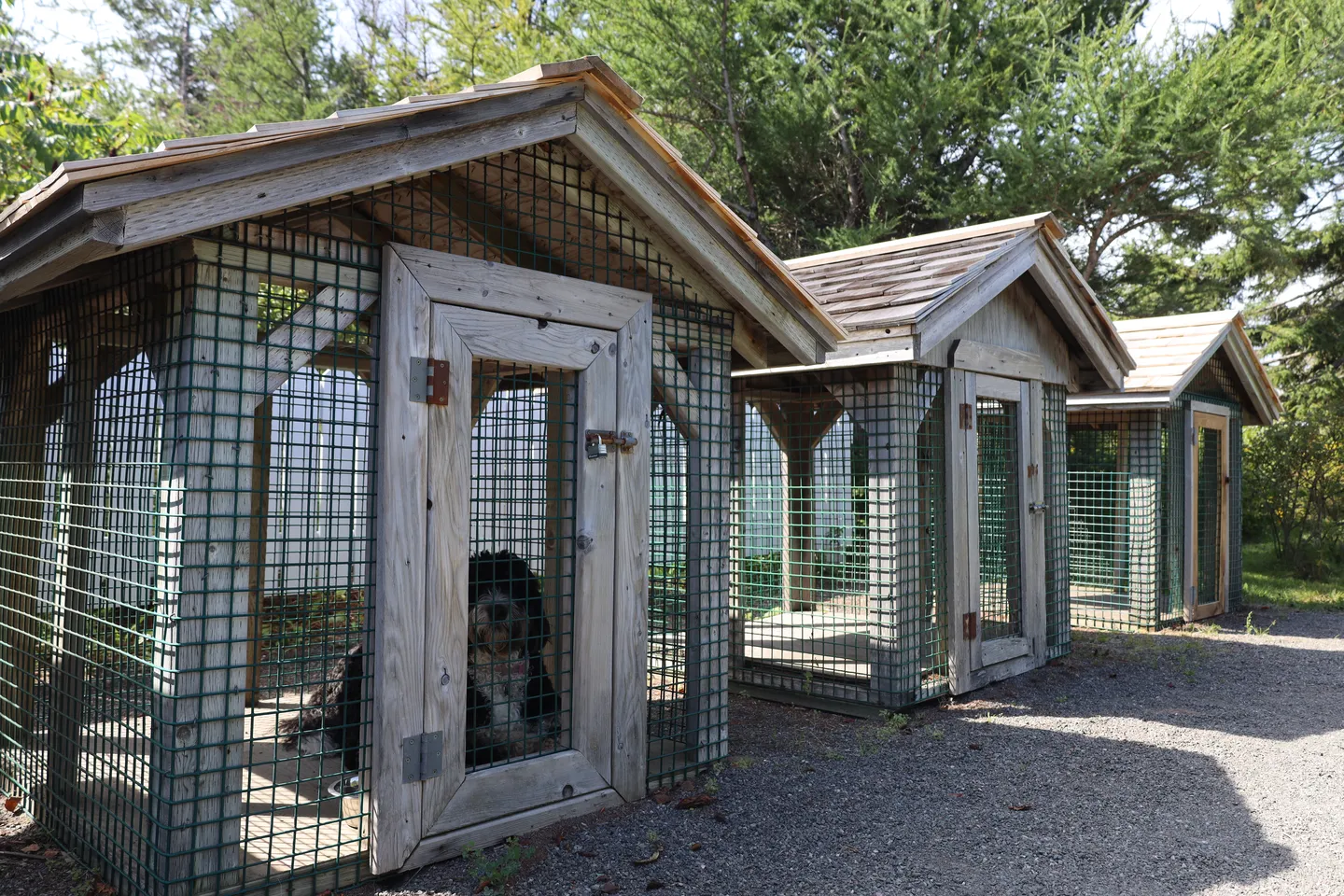Free Kennel Service