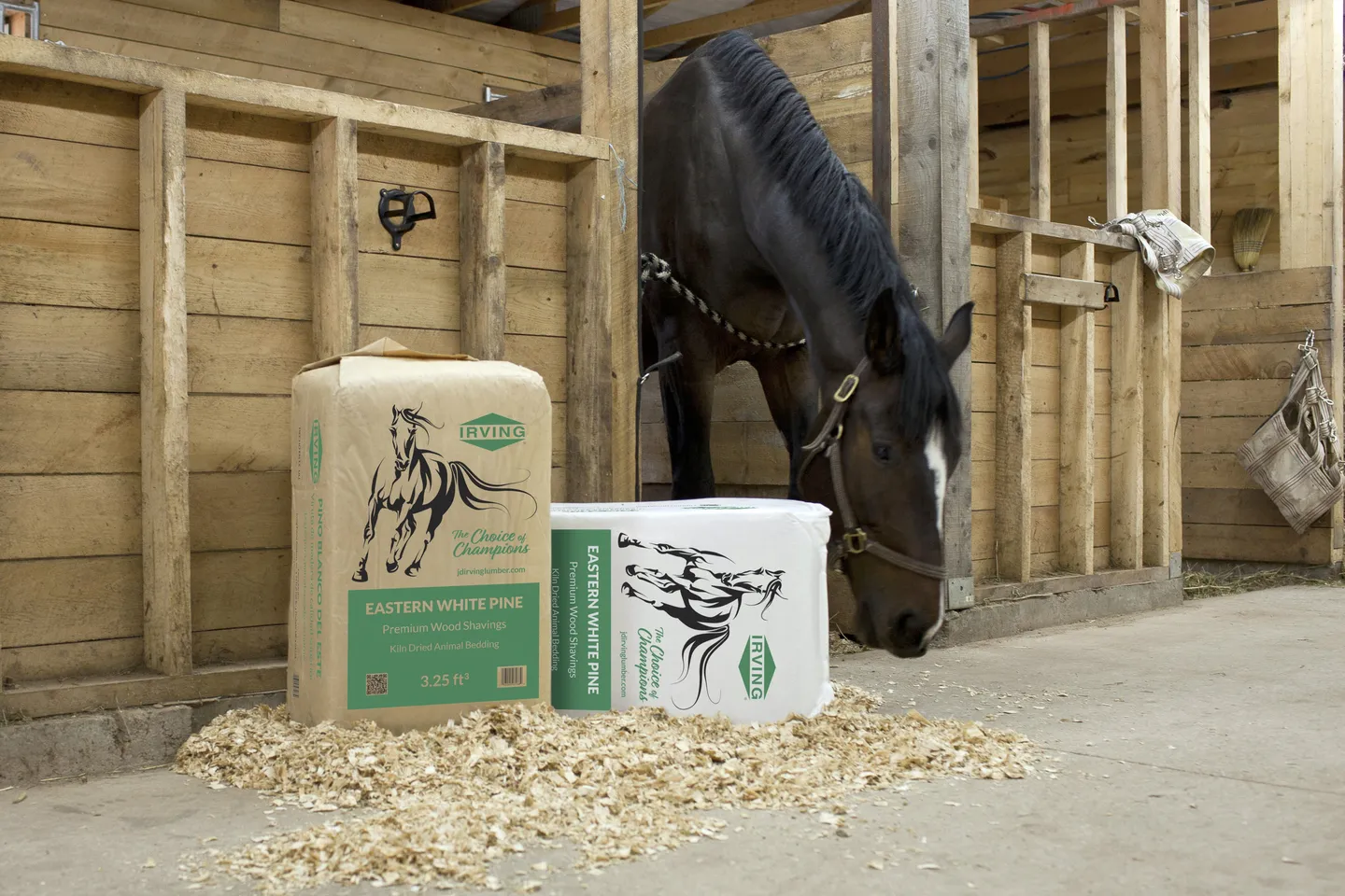 Shavings to Bedding