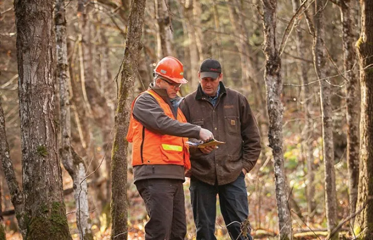 Wood Supply & Landowner Relations