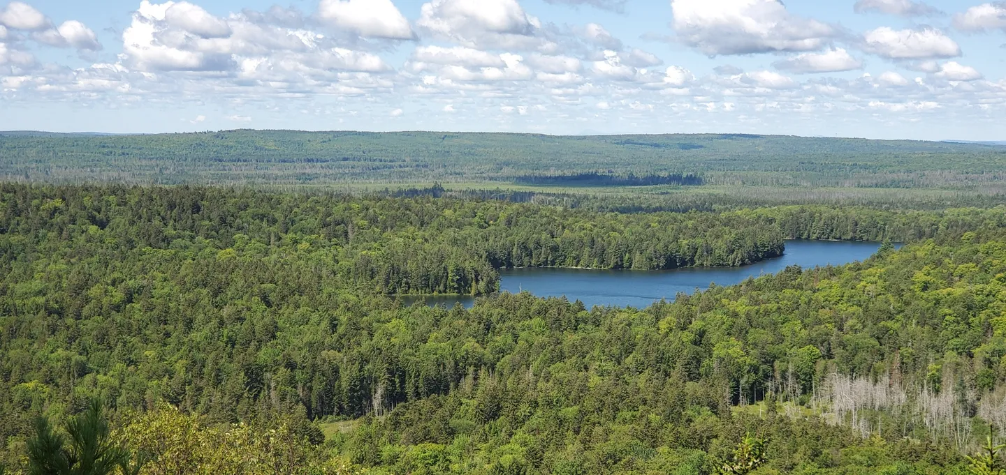 A Lake That Stays Cold: Ayers Lake Conservation Area (New Brunswick)