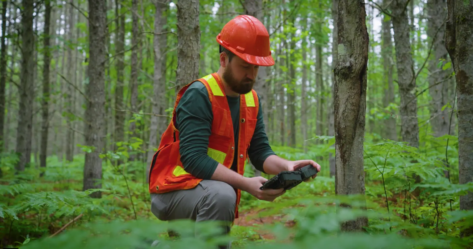 Trail Cams & Sound Reorders