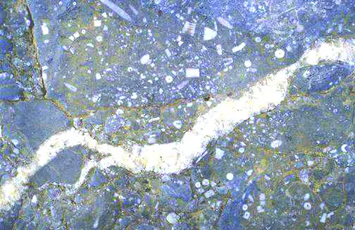 A Fossil Shoreline: Square Lake Marine Fossil Site (Maine)