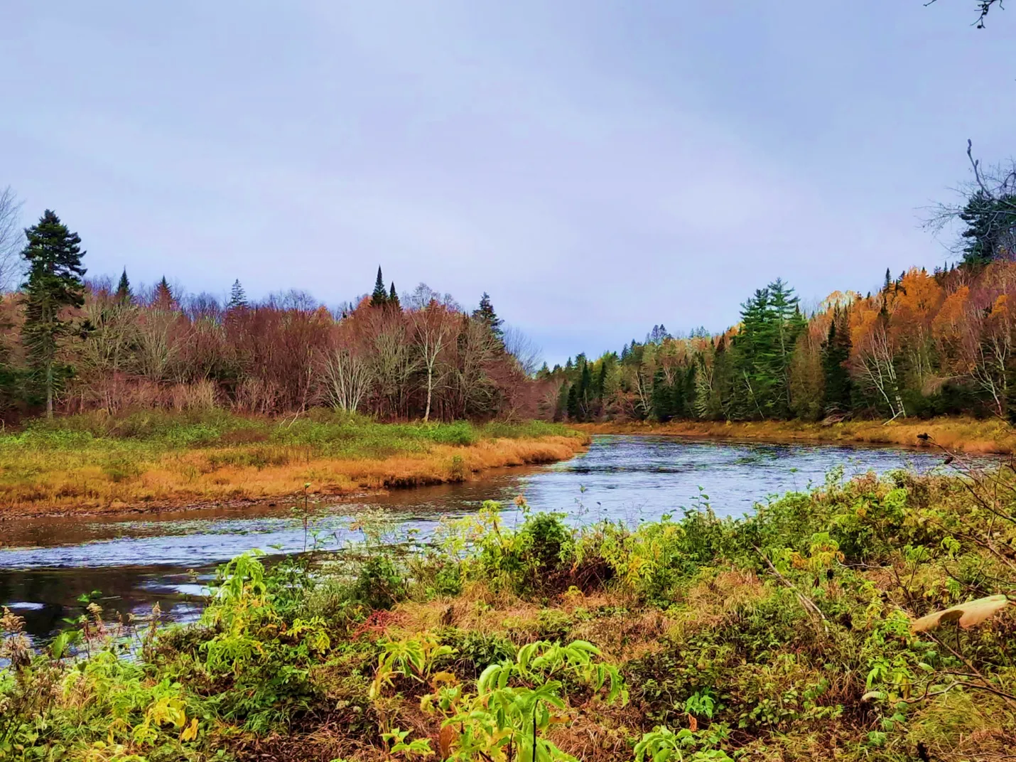 Cold Water in a Warming Climate: Castaway Salmon Pool (New Brunswick)