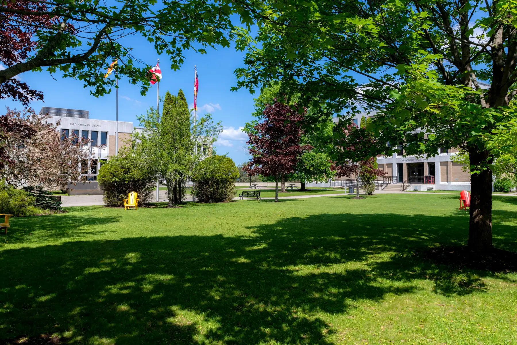 UNB Leadership Scholarship